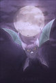 Crobat