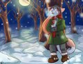 A long walk on a cold night, by HagiaSophia