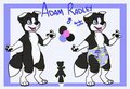 Adam Radley: The giant Baby Border Collie