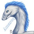 Im a horse! thingy..