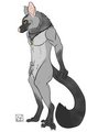 Adopt for: jos-i