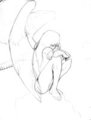 Crouching Angel