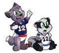 Go Pats!!...