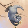 A pic a day 23 - Gift by Rokuya
