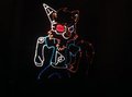 Laser drawing for Rob Gasser by las3r