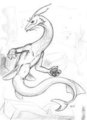 Water Dragon