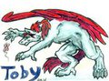Toby Dragon-cridder!!