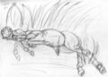 Centaur Foal