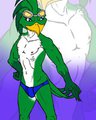 Speedo Jet