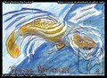 Koi: Doitsu Hariwanke