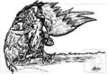 Hawk Anthro on Acetate