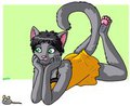 Nekona