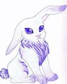 Adopt