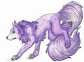 Lila for Adopt by NoSuchConcept