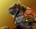 Tiger warrior by Axcan