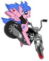 Youtube Announcement: [PMV] RnRDCT