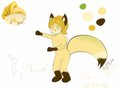 [Gift] For Shouk