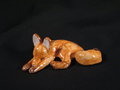 Laying Fox