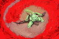 Desert rose by Nicolas0113