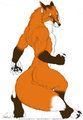 Cutie werewolf./Colored for werefox by AmaroqTheDragon