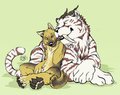 S044 by skrawl