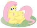 Pregnant Fluttershy