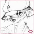Red Raccoon
