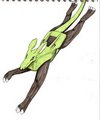 colored doodle36