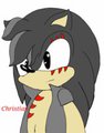 Christian Hedgehog by Sarahfox12