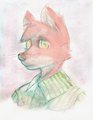 generic orange canine furry