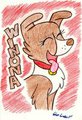 Applejack's pet, Winona