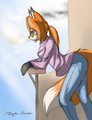 Balcony fox