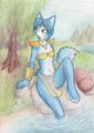 Taking a break