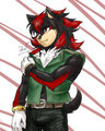 Shadow the Hedgehog by KrazyELF