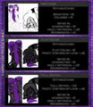 Kyomotion Price Sheet by Kyomotion