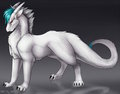 Echo is a flufftard