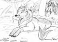 RoughWolf