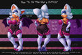 Rouge The Bat - Character Sheet