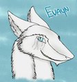 [OLD] Evayn Head shot by Aeyote