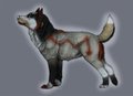 [COMMISSION] Aeyote the Coywolf