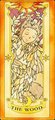 Lem as The Wood (Clow Card)