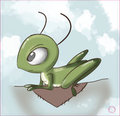 Davy Cricket