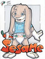 A Sesame badge... in a diaper... *faints*