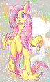 flutterMELT by Reppanyo