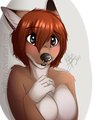 Kona by WolfLady