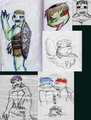 Kappa!Turtles by AwkwardCat