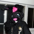 Who Is It?