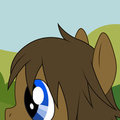 Pony paddle