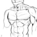 Torso Study by ChainedLupine