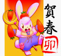 magical rabbit